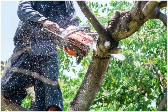 tree services Russell